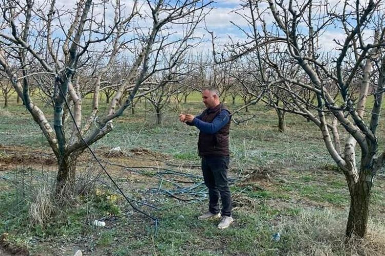 Devlet destekli tarım sigortalarında büyük artış