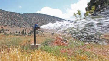 Arıtmayla kurak topraklar hayat buldu