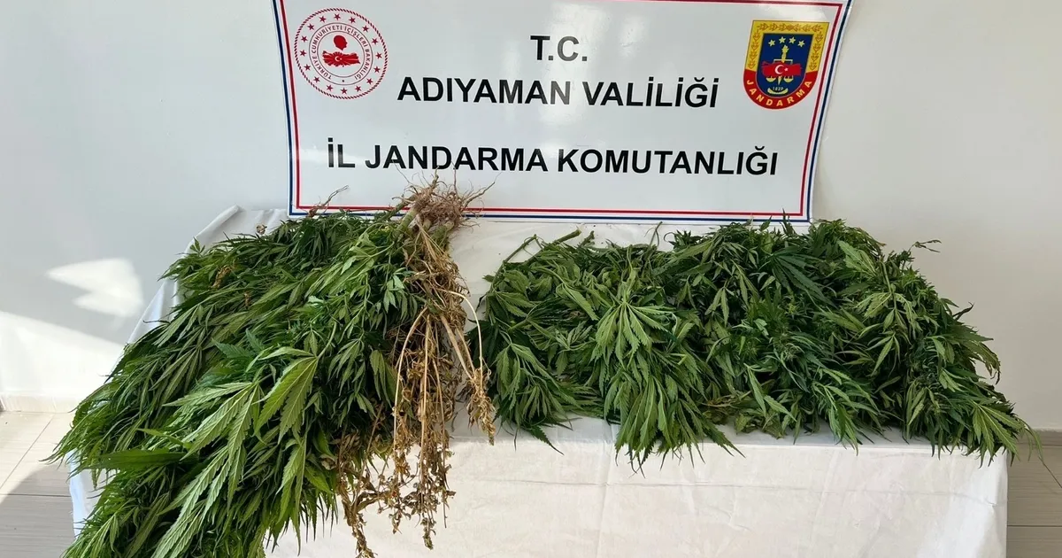 Adıyaman’da kenevire 3 gözaltı