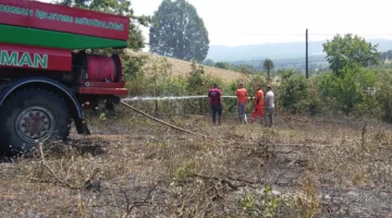 Bilecik’te arazi yangını! 1 kişi dumandan etkilendi