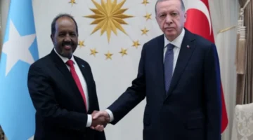 Cumhurbaşkanı Erdoğan, Somalili mevkidaşıyla görüştü