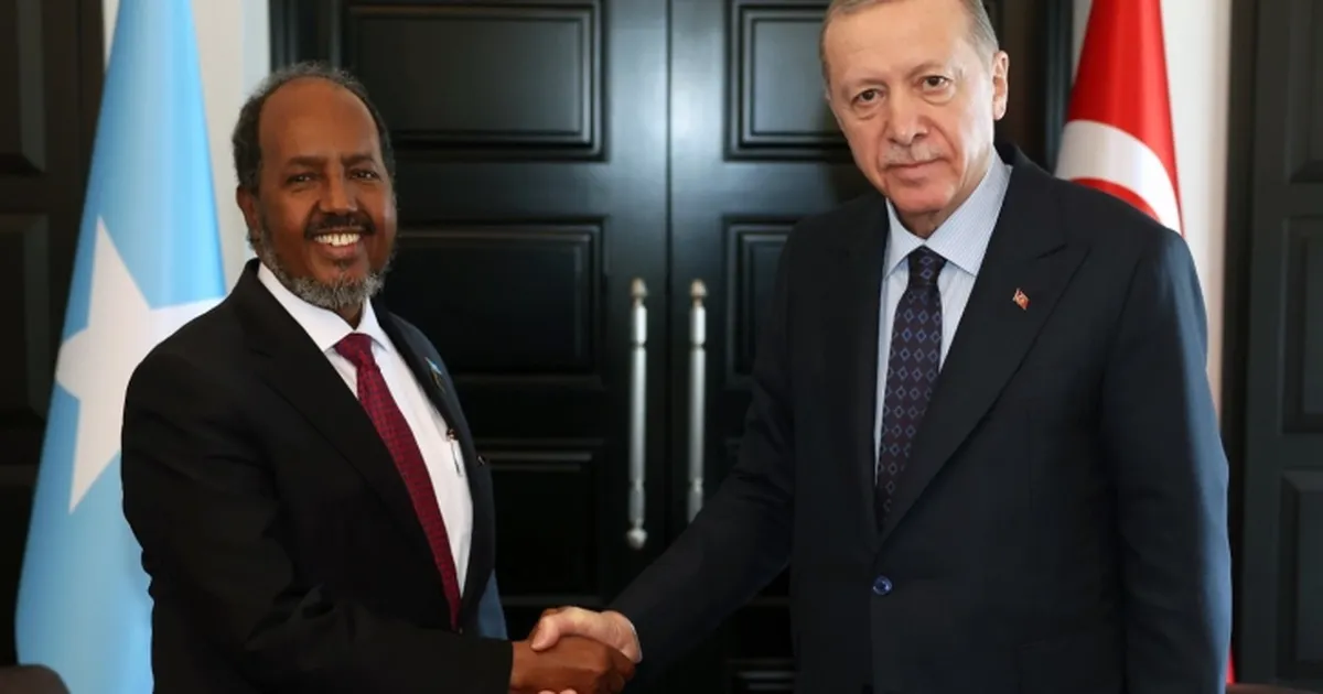 Cumhurbaşkanı Erdoğan Somalili mevkidaşıyla görüştü