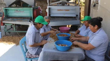 Muğla tarımı dünyaya açılıyor