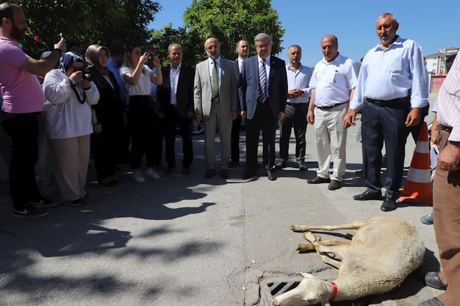 Ak Parti İl Başkanlığı 23’üncü Yılını Anlamlı Etkinliklerle Kutladı