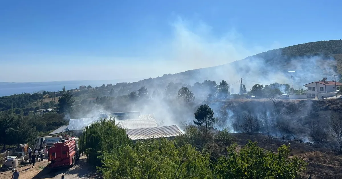 Yalova Armutlu’da orman yangını kontrol altında